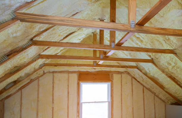 Best Insulation Repair Services  in Dumbarton, VA