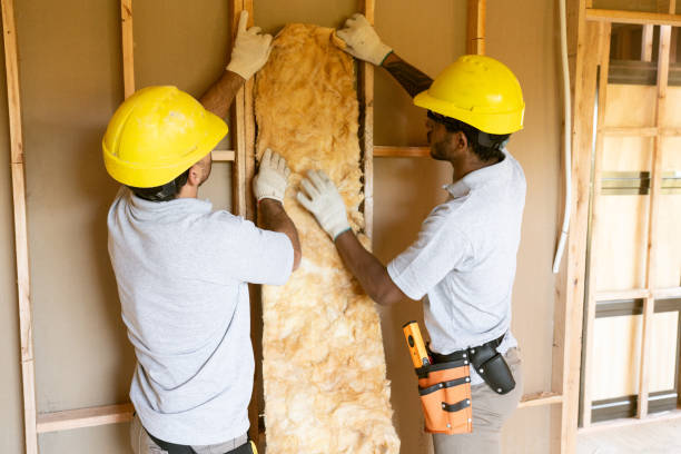 Best Fiberglass Insulation  in Dumbarton, VA